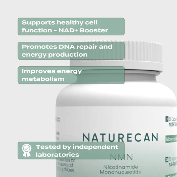 NMN Supplements - Image 4