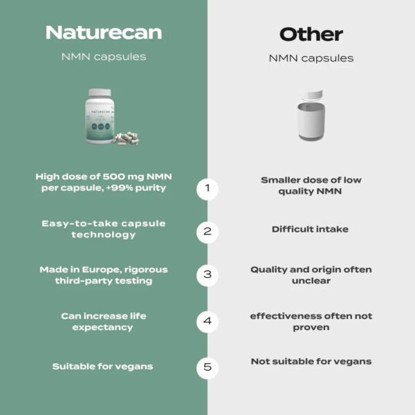 NMN Supplements - Image 6