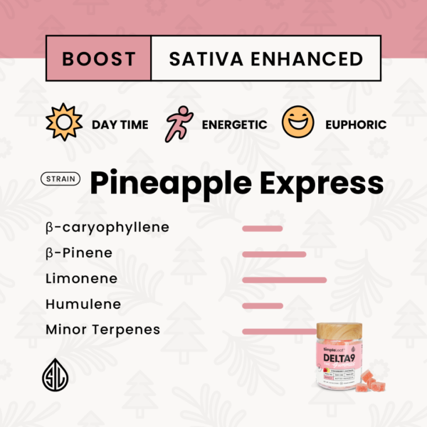 Delta 9 THC Gummies: Indica | Sativa (10mg) - Image 6