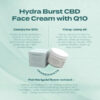 Hydra Burst CBD Face Cream with Q10 - Image 2